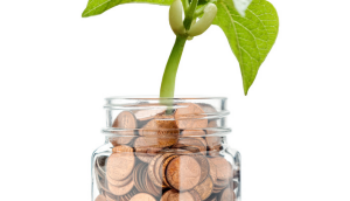 Jar of pennies with a young plant growing out of it