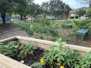 Garden bed with flowers and vegetables