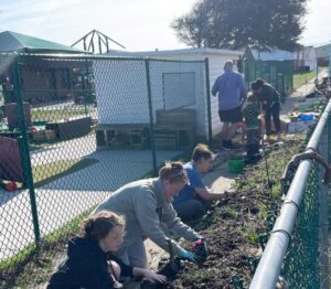 People working in a raised bed garden on Fort Story base in Virginia Beach