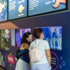 Two ladies looking at exhibit inside the Nauticus Museum