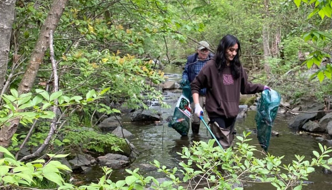 People wading in the river, picking up trash