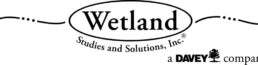 Wetland Studies and Solutions