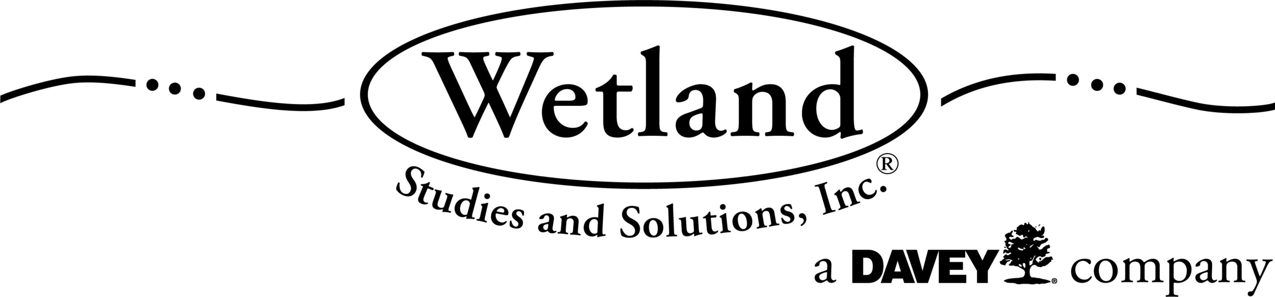 Wetland Studies and Solutions