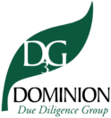 D3G_logo