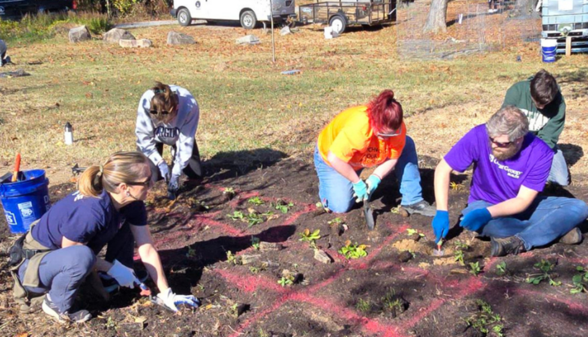 Volunteers install native plants in the pollinator garden at Canoe Run Park