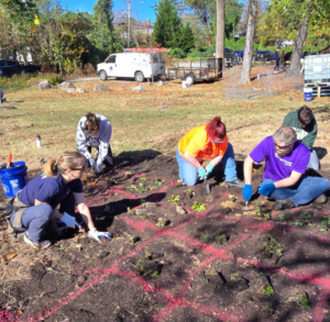 Volunteers install native plants in the pollinator garden at Canoe Run Park