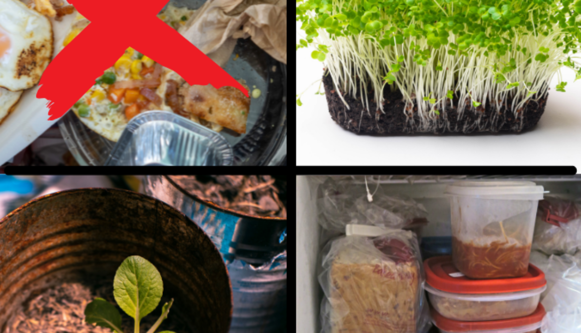 Collage that says don't waste food: grow microgreens, plant in can, freeze leftover food