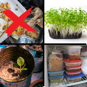 Collage that says don't waste food: grow microgreens, plant in can, freeze leftover food