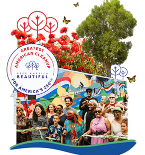 Great American Cleanup