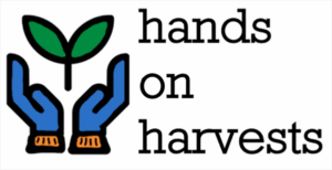 Logo for Hands On Harvests with drawn hands holding a plant