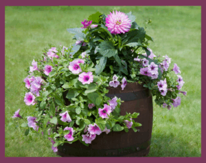Barrel container holding a variety of pink ad purple flowers
