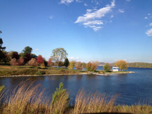 Photograph of Claytor Lake with still blue water, grasses in the foreground, spit of land with trees, blue sky