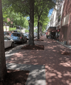 Photograph of Olde Towne Portsmouth, VA with brick sidewalk, trees, and shops
