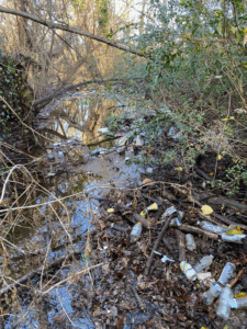 Photo of littered bottles and debris in a waterway.